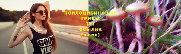 mdpv Алексин