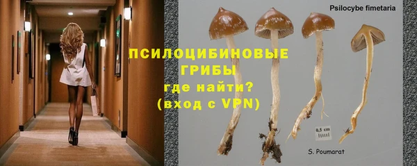 дмт Алзамай