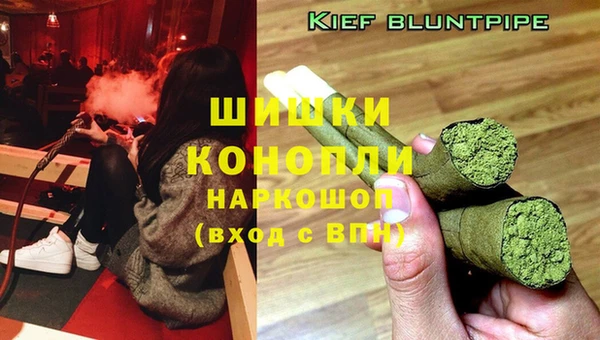 дмт Алзамай